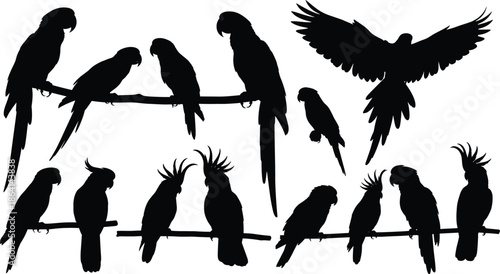 Parrot bird silhouette set with different perched and flying poses tropical wildlife vector illustration