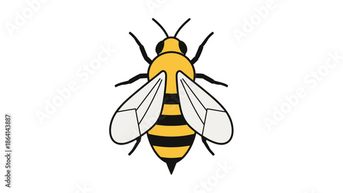 Cute Cartoon Honey Bee Illustration, Yellow and Black Insect on Isolated White Background