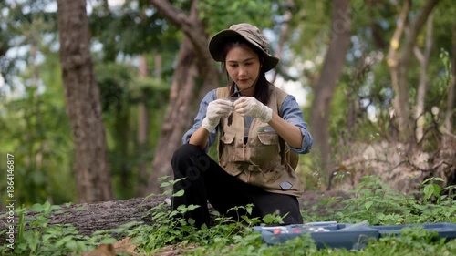Asian adult female botanical researcher collecting plant samples in forest environment conducting scientific fieldwork studying nature and biodiversity