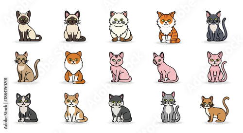Colorful vector illustration set featuring popular domestic cat breeds represented as clean, minimalistic 2D flat style profile icons, isolated on a pure white studio background.