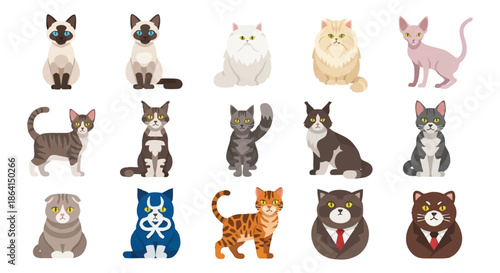 Comprehensive collection of cat breeds icons displayed in a minimal and modern 2D flat vector illustration style, isolated on a clean white background.