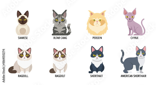 A collection of adorable cat breeds rendered in a modern 2D flat vector icon set, perfect for use in clean web and mobile user interface applications on a crisp white background.