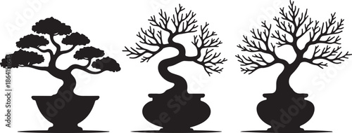 Classic Bonsai Tree Silhouette Vector Set

Minimal Japanese Bonsai Black Art Collection

Elegant Potted Bonsai Tree Illustration Bundle
