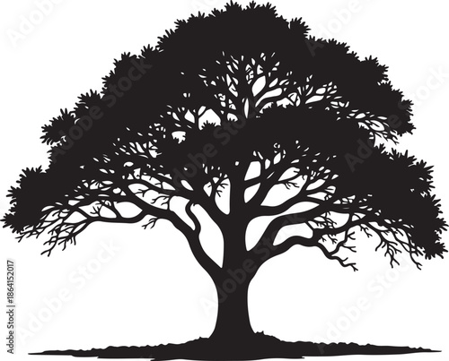 Classic Bonsai Tree Silhouette Vector Set

Minimal Japanese Bonsai Black Art Collection

Elegant Potted Bonsai Tree Illustration Bundle