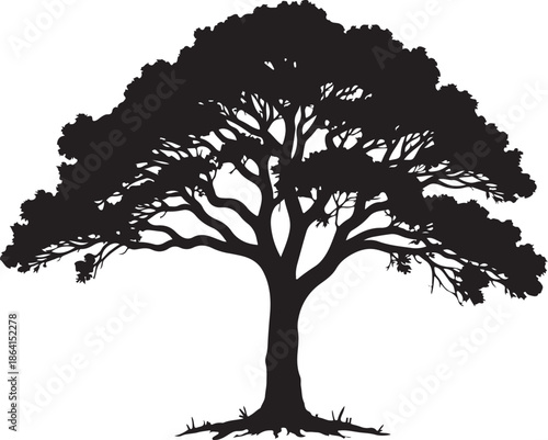 Classic Bonsai Tree Silhouette Vector Set

Minimal Japanese Bonsai Black Art Collection

Elegant Potted Bonsai Tree Illustration Bundle