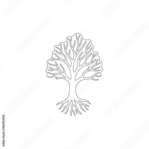 Stylized Tree with Detailed Branches and Exposed Roots Clean Outline Art on White Background
