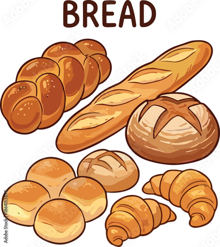Bread variety cartoon illustration with braided loaf, baguette, croissant, dinner roll, round bun, text label - flat vector illustration