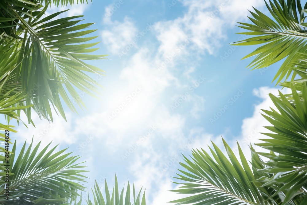 Fototapeta premium Green palm leaves frame a sunny blue sky with white clouds, creating a tropical summer background