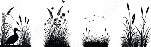 Black silhouette of marsh plants with ducks birds and butterflies set of cattails and reeds for nature conservation and wild wetland habitat