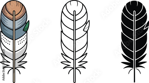 Feather silhouette & Outline and illustration set isolated on transparent background