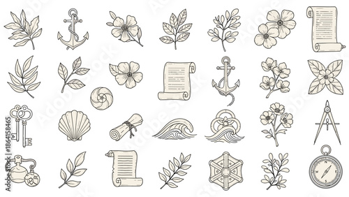 Vintage style botanical and nautical elements for design projects and concepts