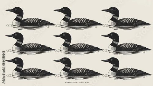 A black and white illustration of 12 loon birds arranged in three rows of four