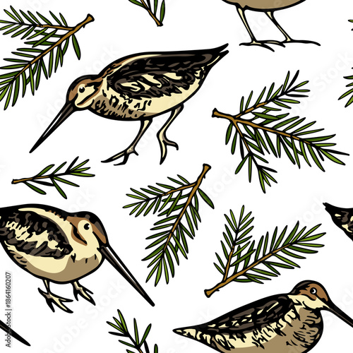 Vector seamless pattern with hand drawn cute snipes with conifer twigs. Beautiful animal design elements, ink drawing. Perfect for prints and patterns