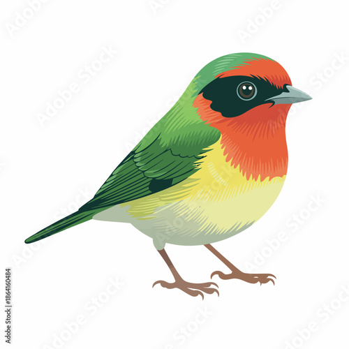 A vibrant and detailed illustration showcases a colorful bird with striking plumage, perfectly capturing its essence as it perches gracefully amidst nature's beauty.