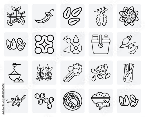 Culinary Botanicals And Seasonings – From Fragrant Vanilla And Rosemary To Pungent Turmeric And Hot Pepper