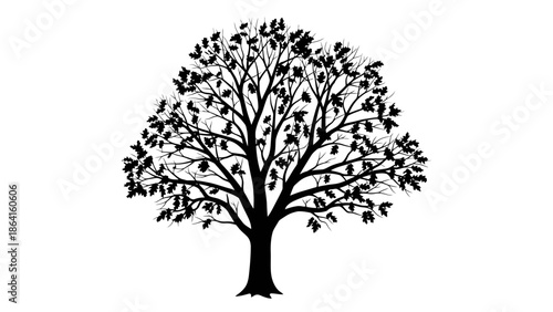 Lush outline drawing of a deciduous tree with full green leaves, isolated white background.