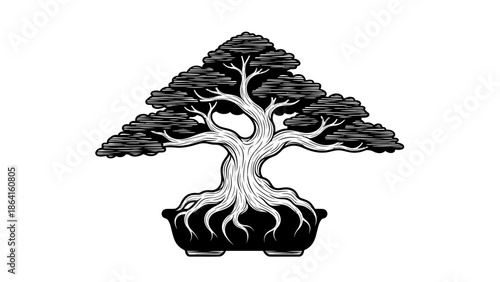 Classic bonsai tree in a pot with a gnarled trunk and visible roots, traditional Japanese art, isolated white background