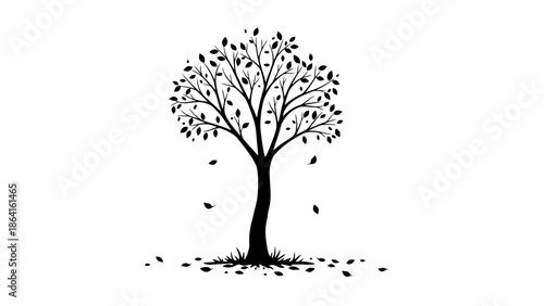 Small deciduous tree with sparse foliage and falling leaves, autumn mood, isolated white background