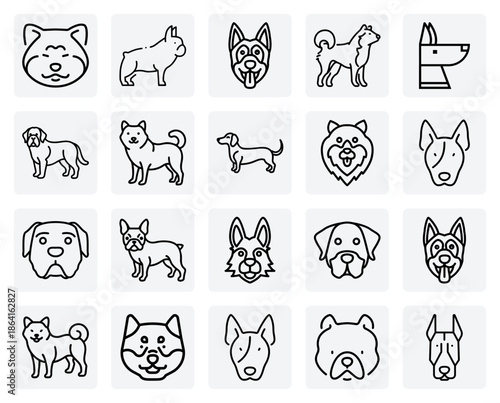 Canine Breed Illustrations For Veterinary And Pet Care – Including Bull Terrier, Saint Bernard, And Spitz Varieties