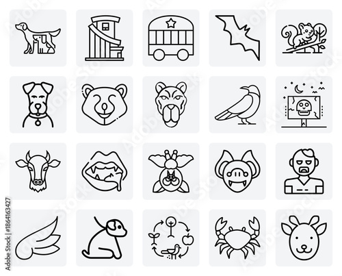 A Broad Overview Of The Animal Kingdom – Including Mammals, Birds, And Crustaceans For General Nature Projects