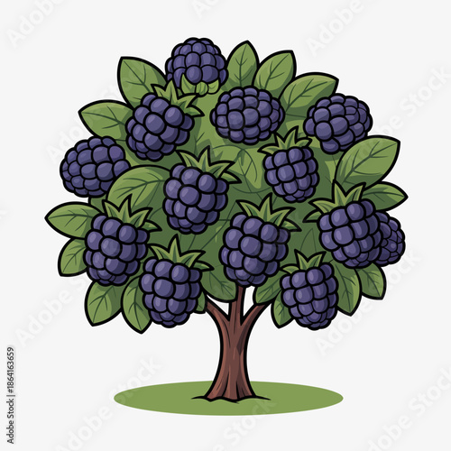 The image highlights a lush blackberry bush, showcasing clusters of plump, ripe blackberries ready for harvest against a vivid green background.