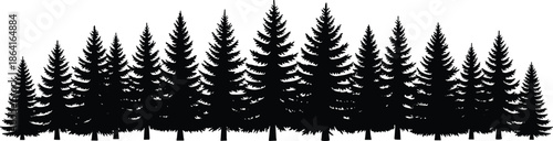 Conifer forest silhouette, pine tree row, fir tree shapes, black tree outlines, nature landscape, forest edge, stylized trees, flavector