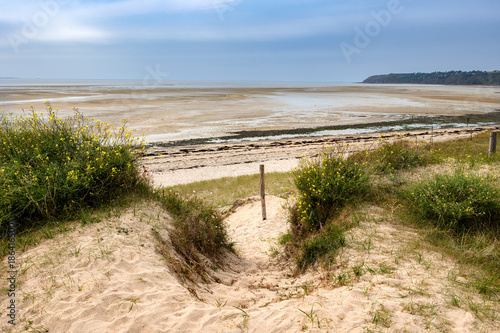 Sandy Path Through Dunes to Empty Beach, Normandy, France