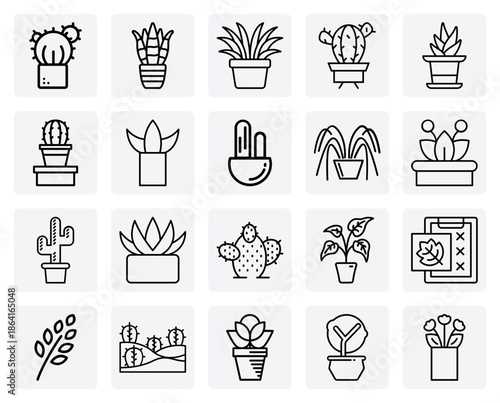 Collection Of Houseplants Including Cacti And Sansevieria – For Plant Care Guides, Websites, And Articles On Indoor Gardening.