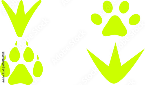 Collection of Four Different Animal Footprints in Vibrant Neon Green