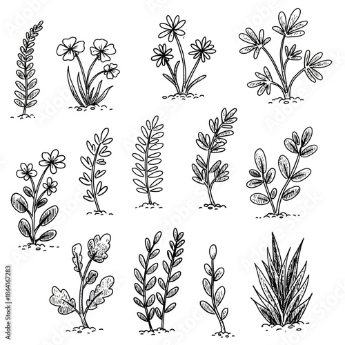 Collection of hand-drawn plant vector doodles in a sketchy style, showcasing diverse botanical elements for artistic and design applications