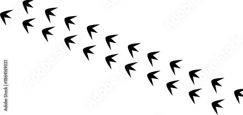 Poultry bird footprint trail design, black chicken track silhouette isolated on white for graphic use