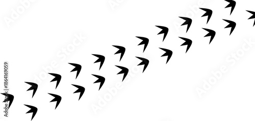 Black silhouette of bird footprints walking across the frame, chicken tracks for farm decoration