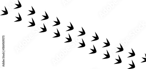 Poultry bird track silhouette pattern, black chicken footprints in a trail for animal themed designs