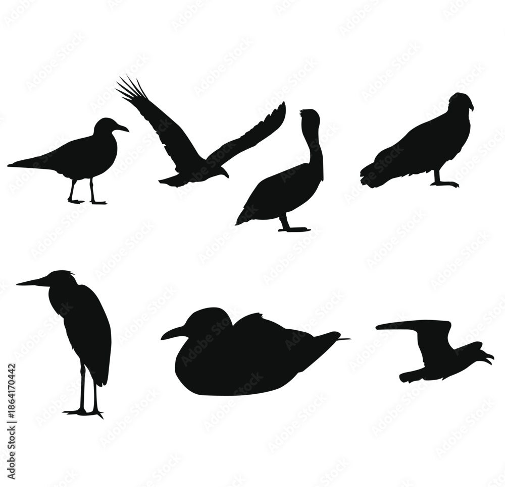 Obraz premium Collection of Bird Silhouettes in Various Poses and Angles
