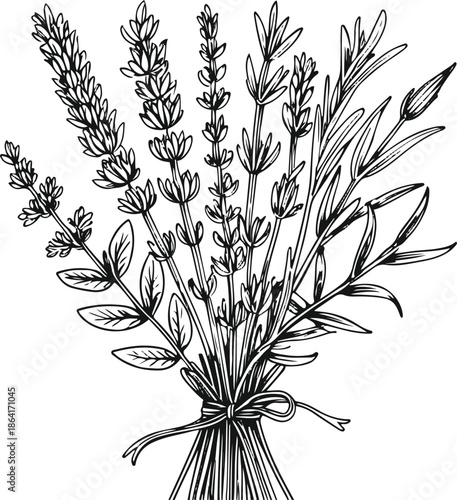 Minimal line art of crescent moon made of intertwined wildflowers and leaves, mystical botanical sticker design 3Hand-drawn line art of tied herbal bundle with lavender, rosemary and sage, rustic bota