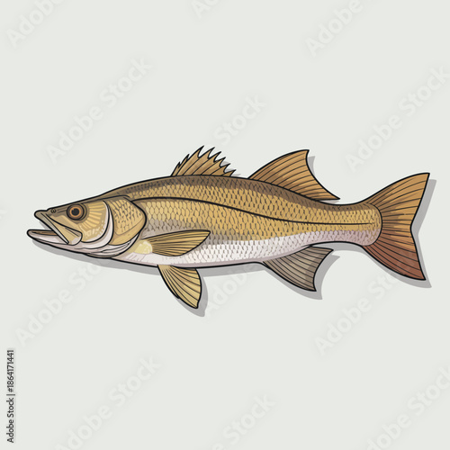 A beautifully detailed illustration of a spotted fish swimming gracefully, showcasing its vibrant colors and unique patterns in a natural aquatic environment.