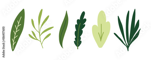 Hand drawn botanical leaf collection featuring various green foliage shapes in a simple flat style isolated on white background