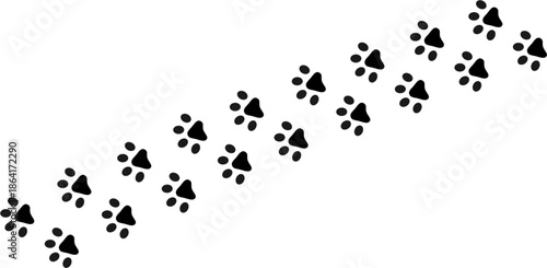 Set of Black Animal Paw Print Silhouettes for Design Projects