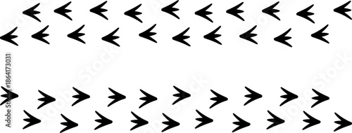 Vertical path of webbed bird footprints, duck or goose tracks silhouette isolated on white background, nature exploration and wildlife trail vector illustration.