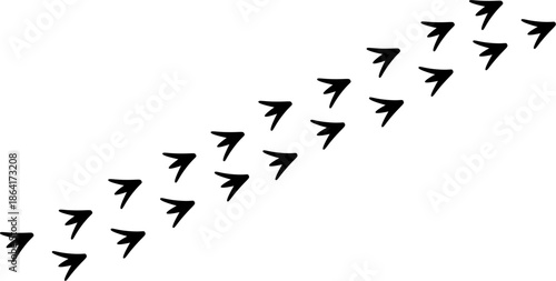 Set of hand drawn bird footprints on white background, black vector duck or swan tracks