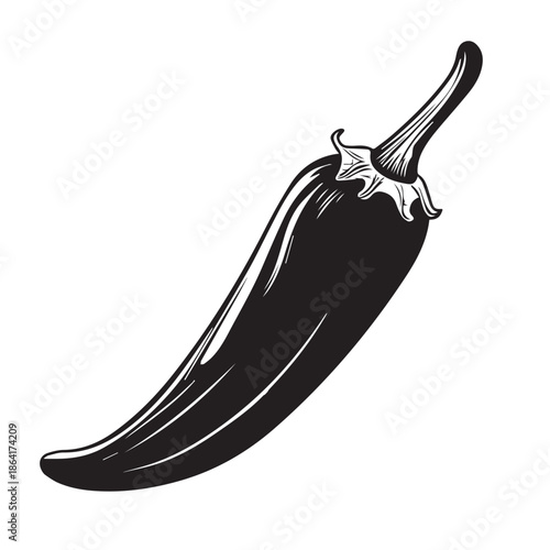 vector illustration of a vegetable