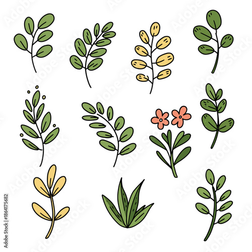 Hand-drawn vector botanical elements a charming collection of diverse leaves, branches, and delicate flowers, perfect for natural and organic design projects, adding an illustrative artistic flair