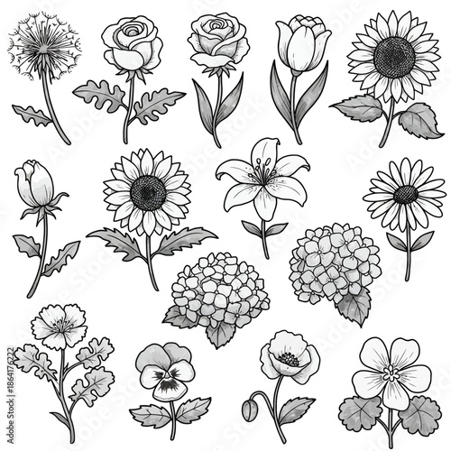 Black and white vector illustration of a variety of floral elements and flower varieties on white background, 37 (782)