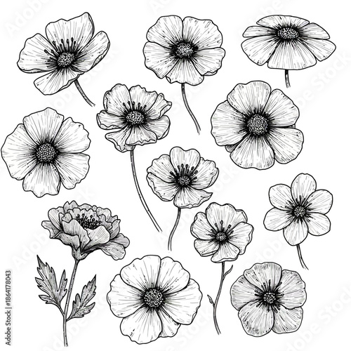 A captivating vector collection featuring twelve unique hand-drawn botanical flowers, meticulously sketched with elegant black ink details, ideal for refined design