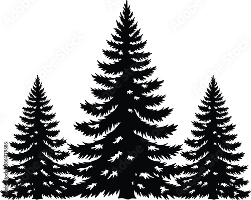 Black spruce tree silhouette vector illustration featuring three pine trees of varying heights for forest, wilderness, nature, and outdoor landscape designs.