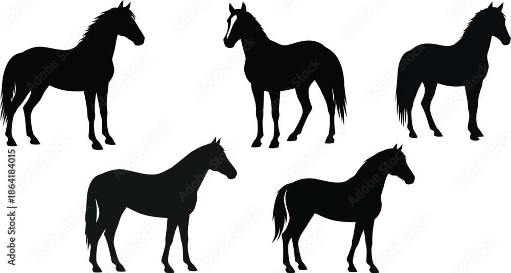 Fototapeta premium Collection of Black Horse Silhouettes