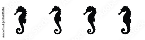 Empty vector file display