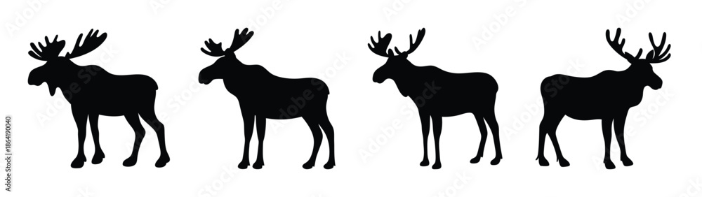 Fototapeta premium Empty vector file