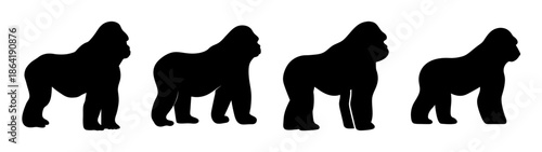 Sequence of gorilla silhouettes