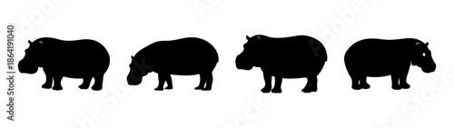 Four silhouetted hippos in a row